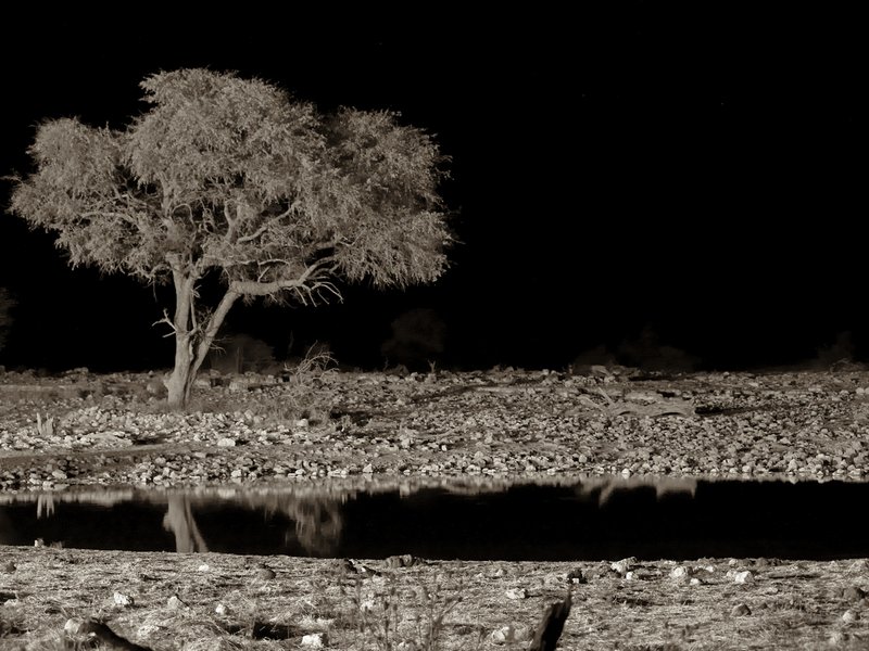 Etosha National Park, Okaukuejo